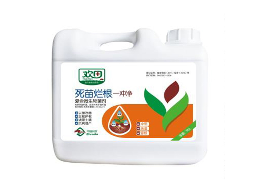 死苗烂根.jpg